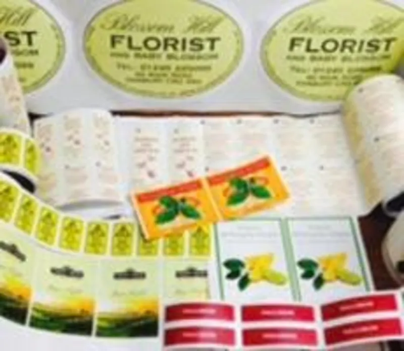 bf7d8da4-2c4a-4219-8d78-6438bff14f9a_image